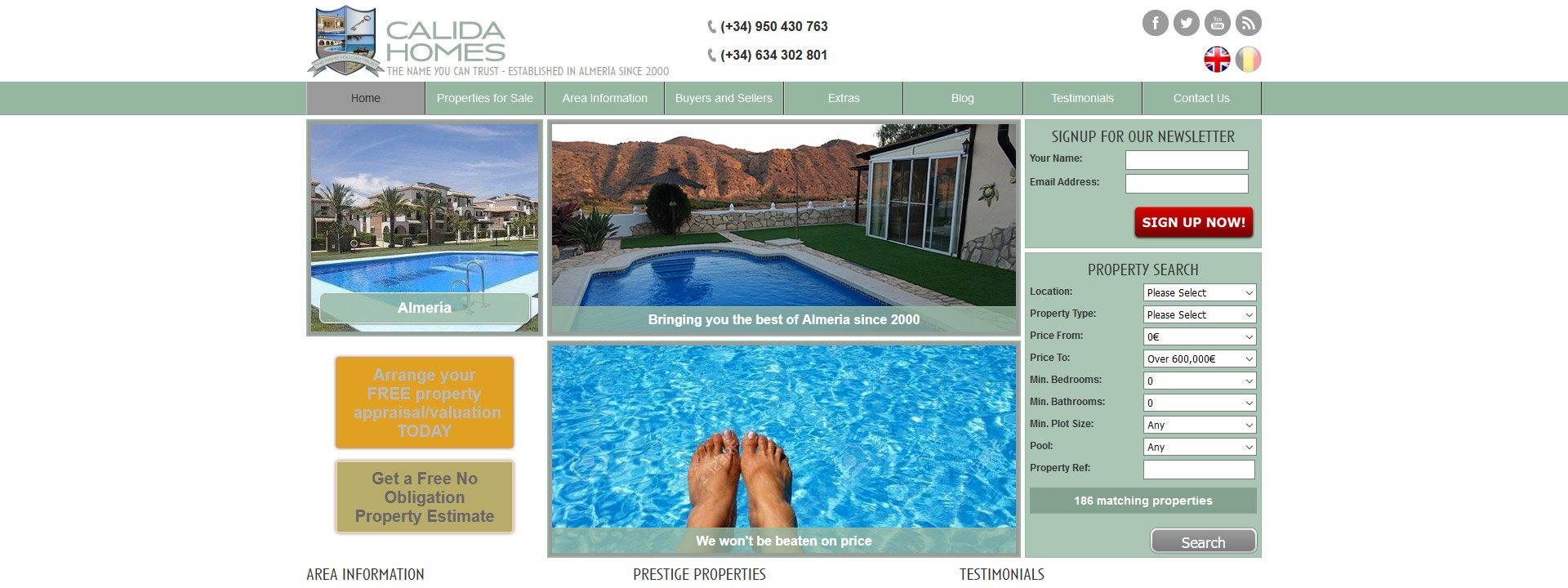 Estate Agent Websites