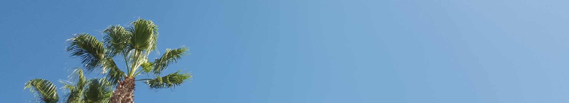 Standard Websites Standard Websites